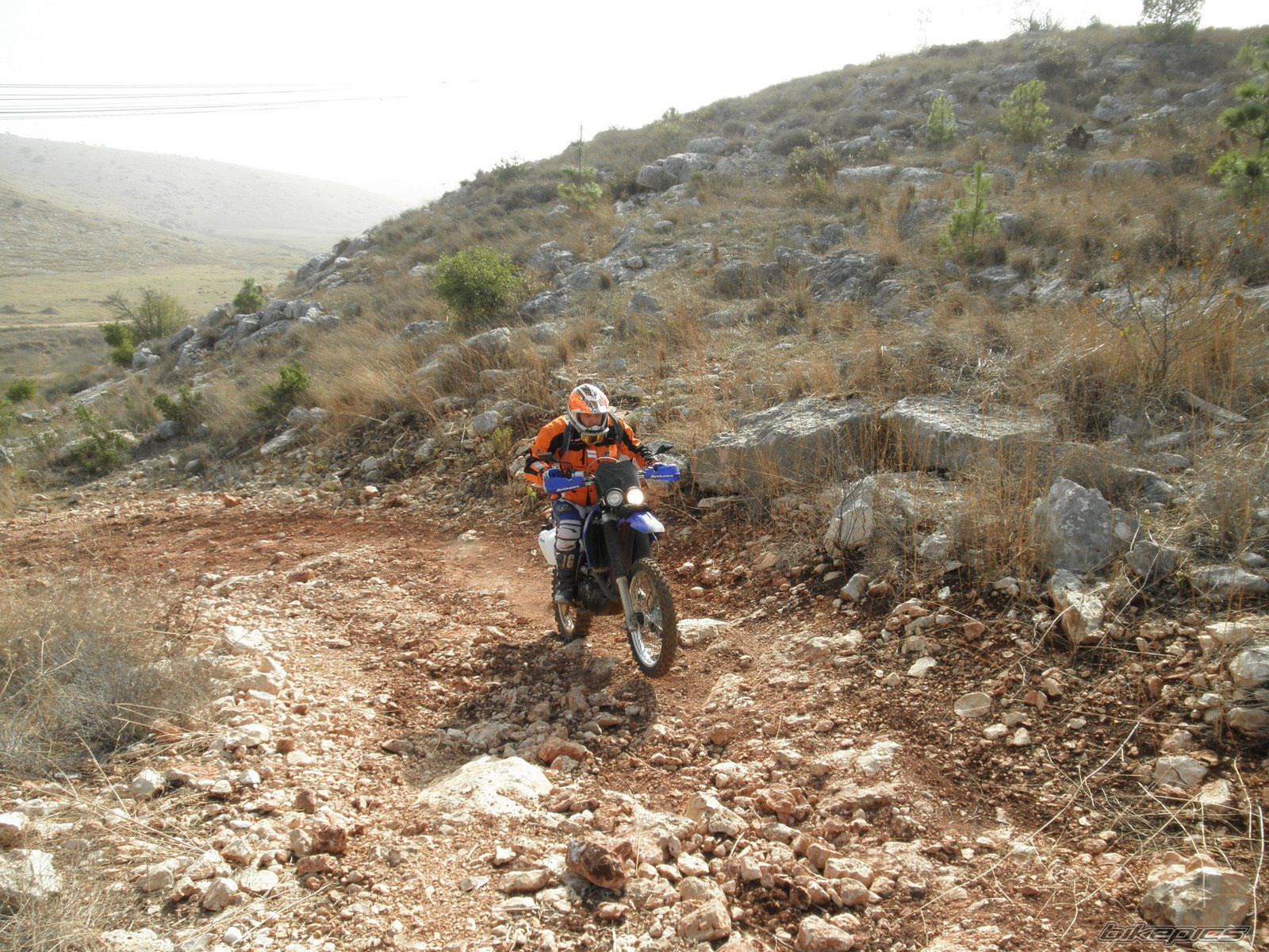 Photo 2117187