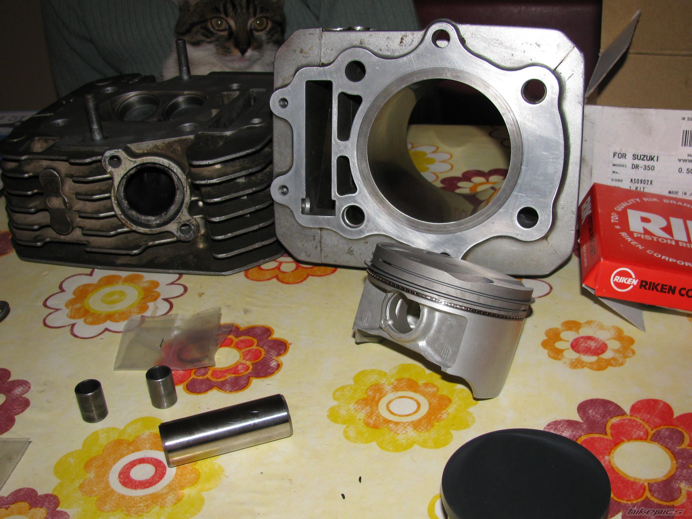 Photo 2117237
