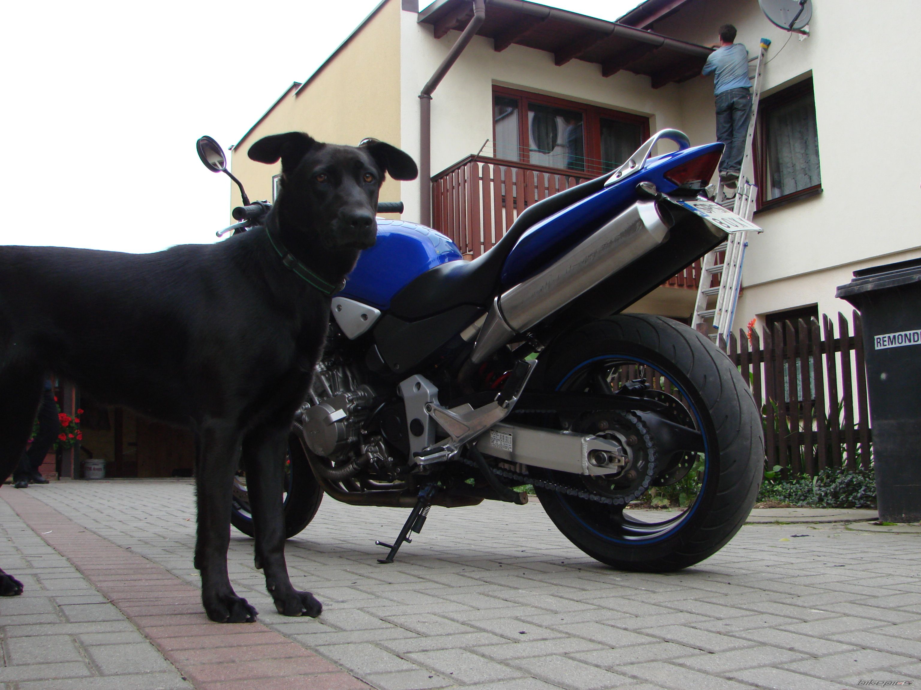 Photo 2117329