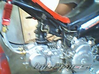 Photo 2117395
