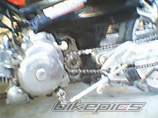 Photo 2117397