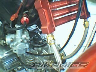 Photo 2117404