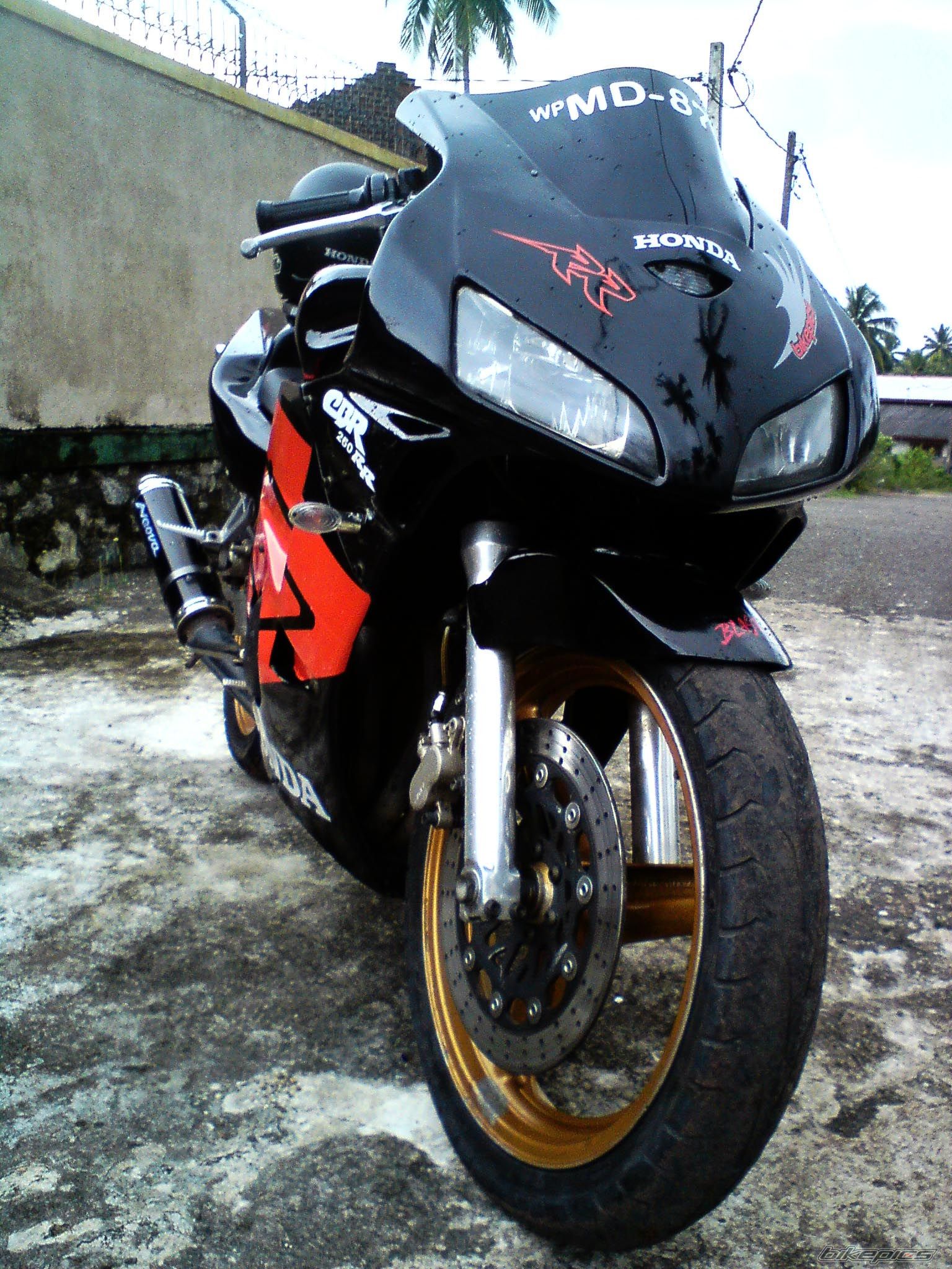 Photo 2117423