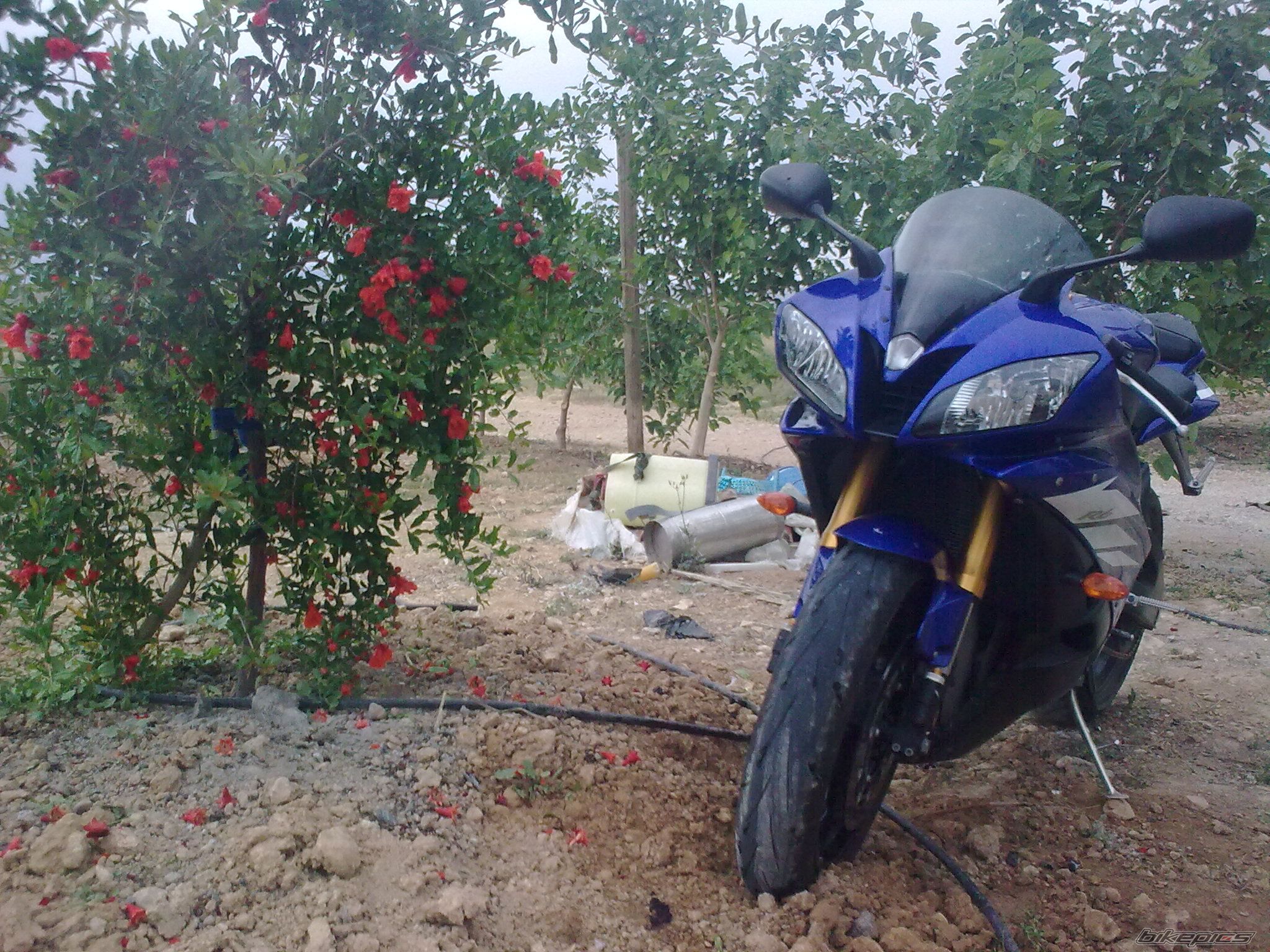 Photo 2117523