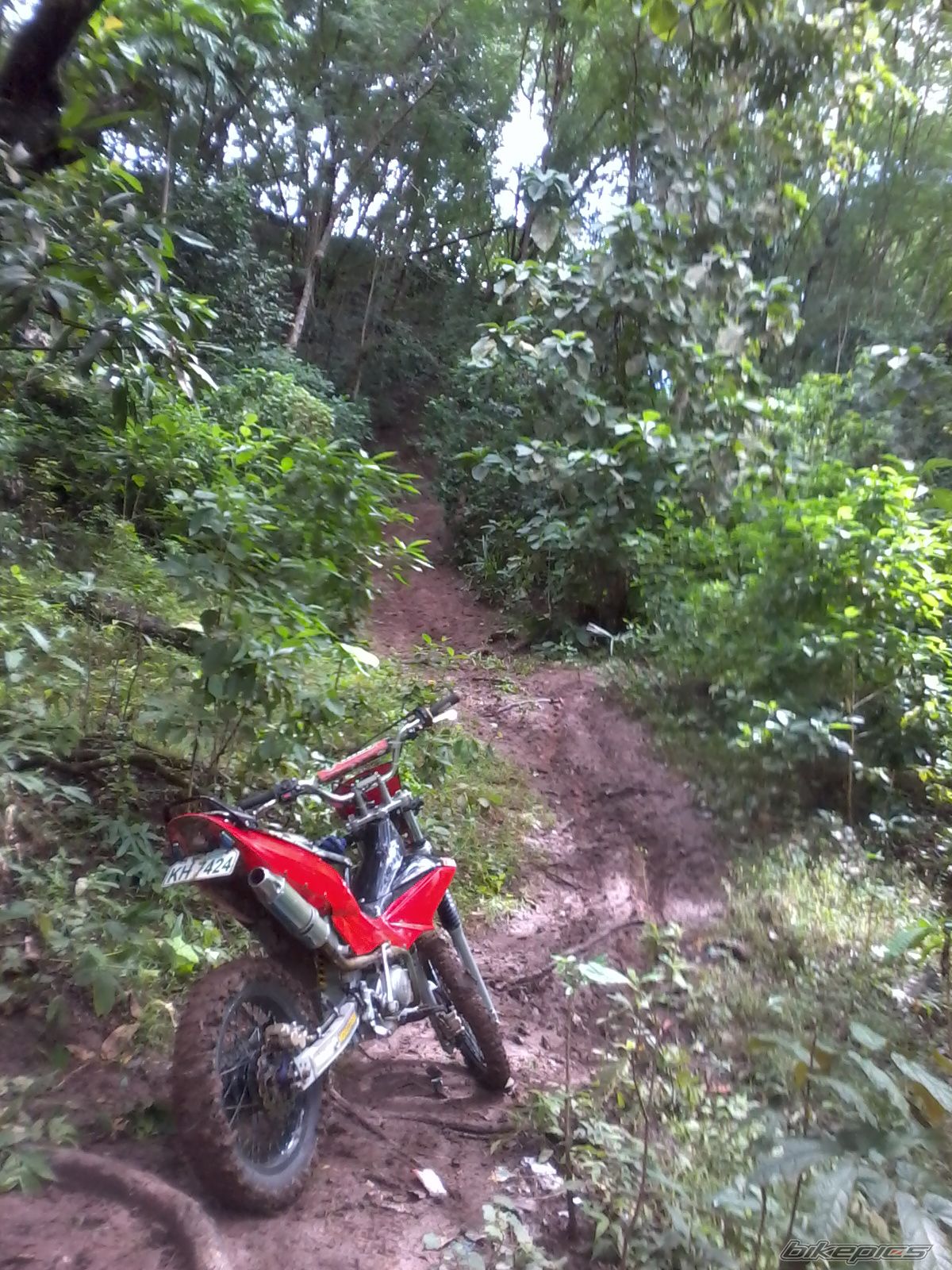 Photo 2117526