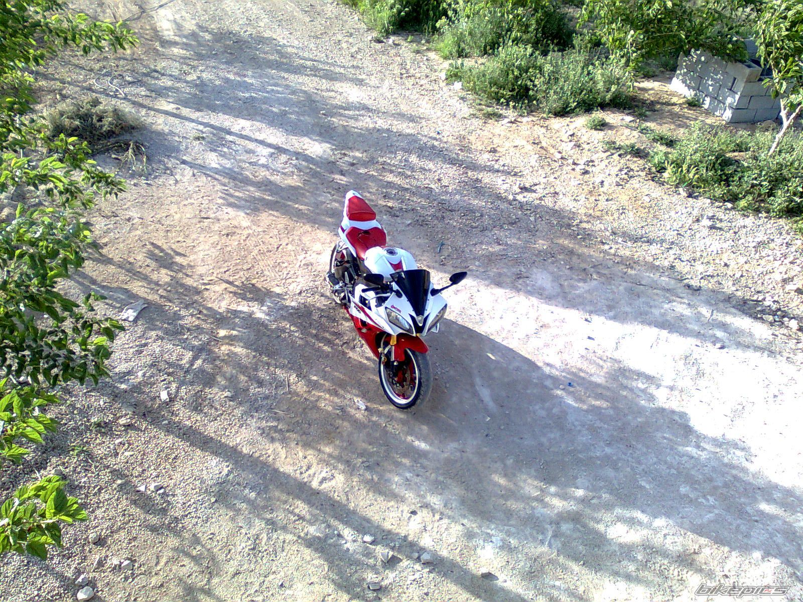 Photo 2117527