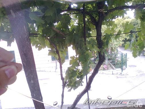 Photo 2117580