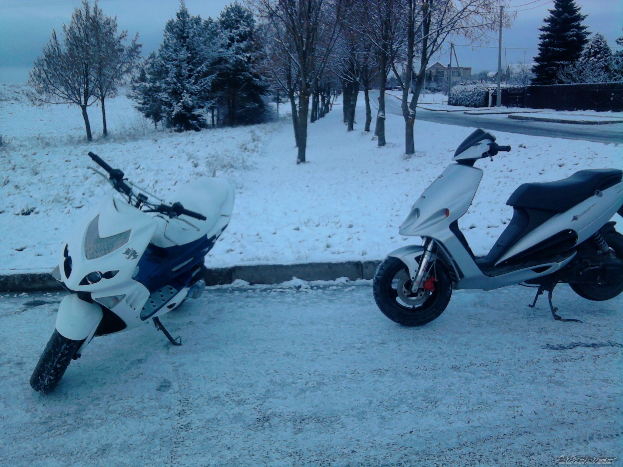 Photo 2117648