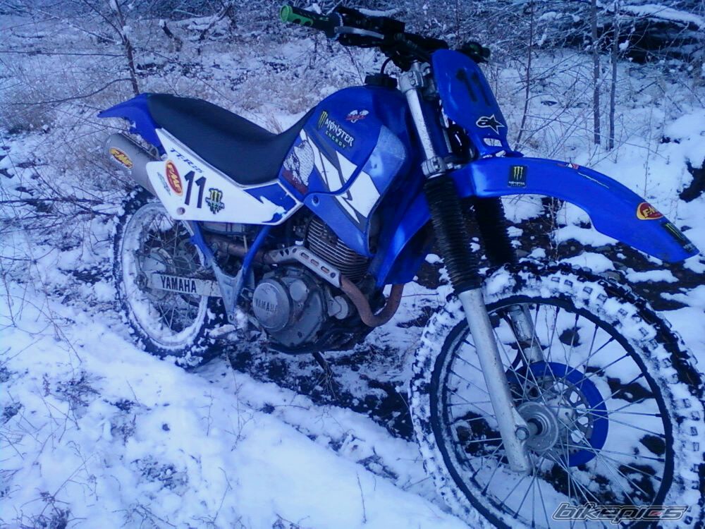 Photo 2117877