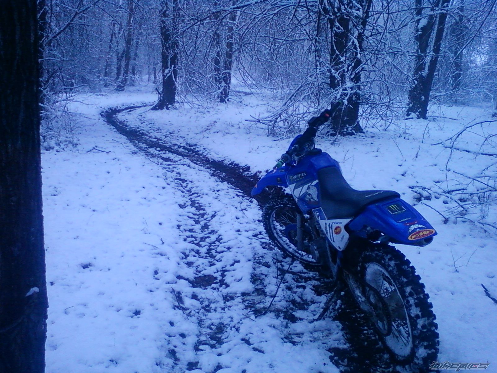 Photo 2117882