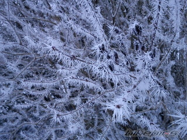 Photo 2117911
