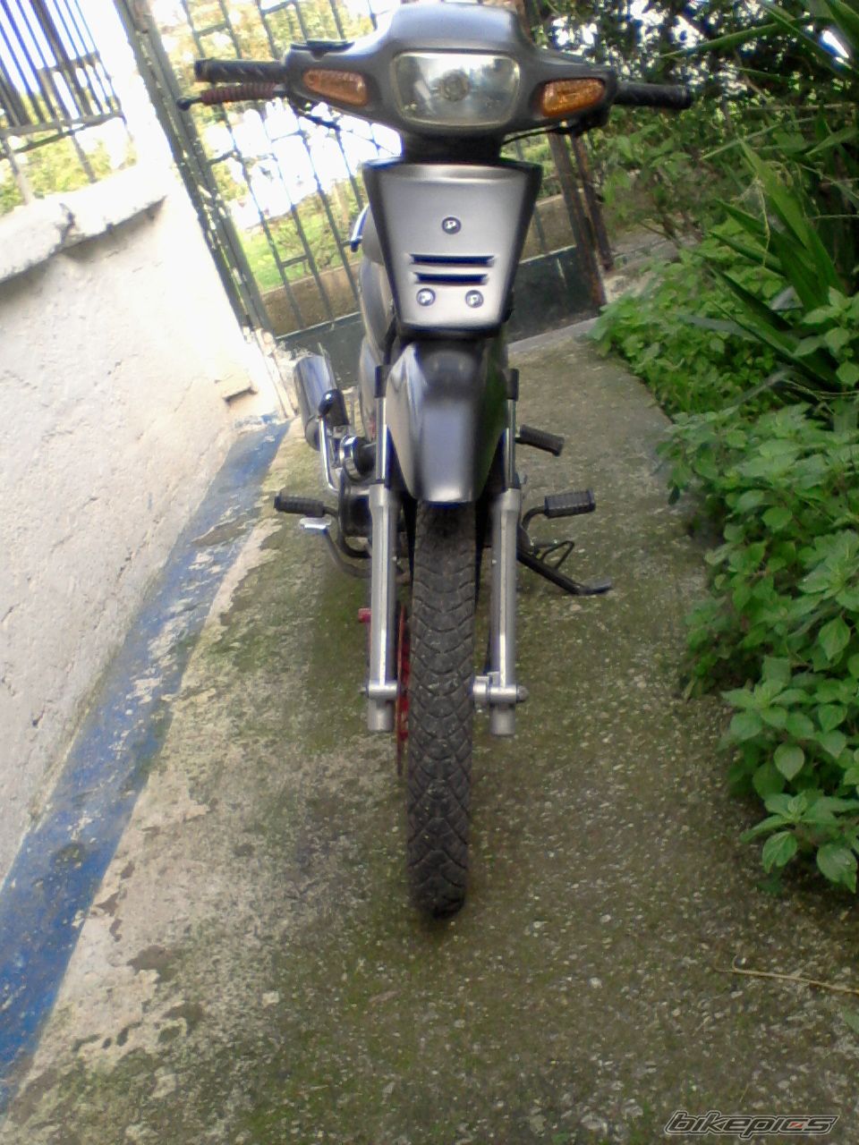 Photo 2118118
