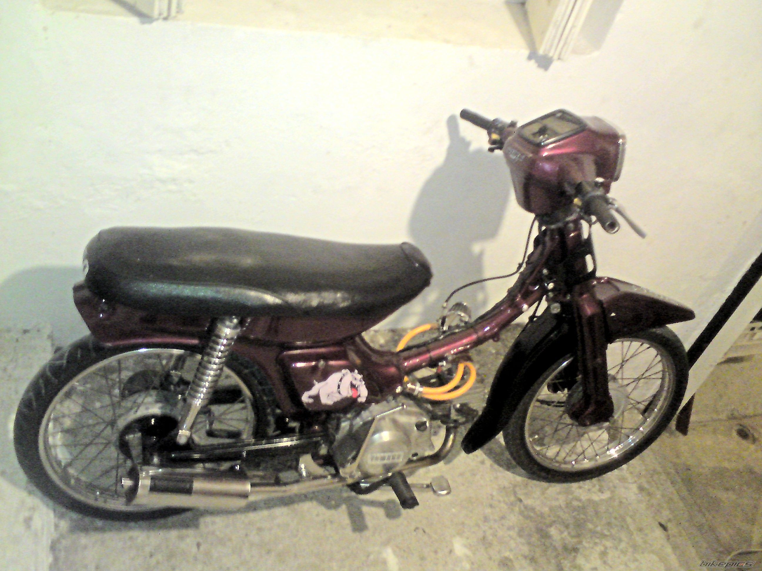 Photo 2118278