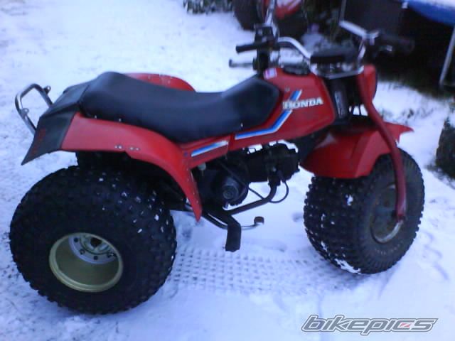 Photo 2118392