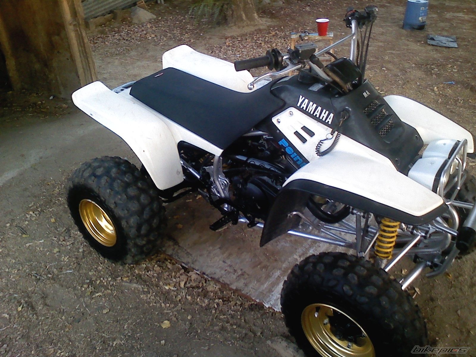 Photo 2118472