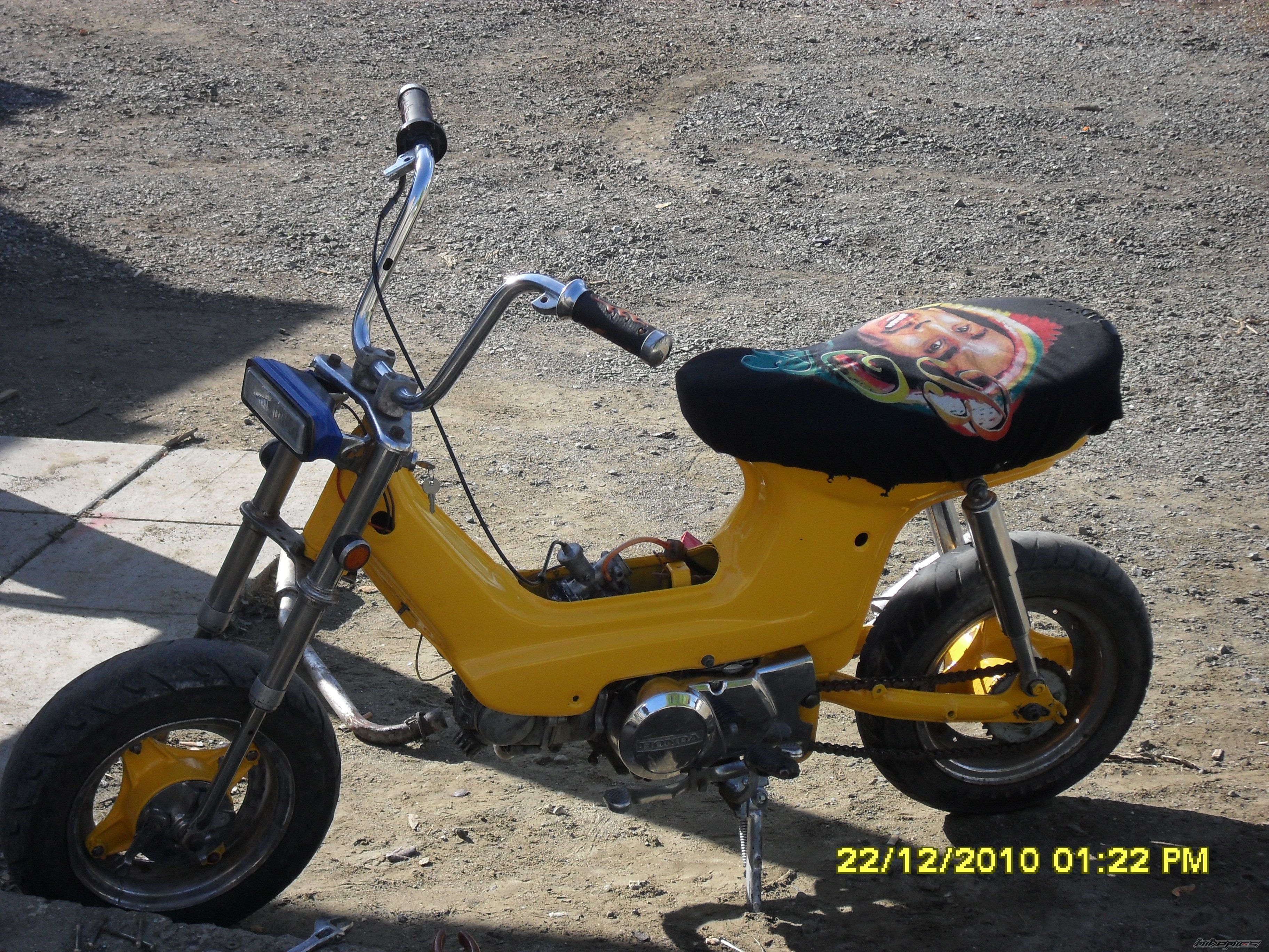 Photo 2118702