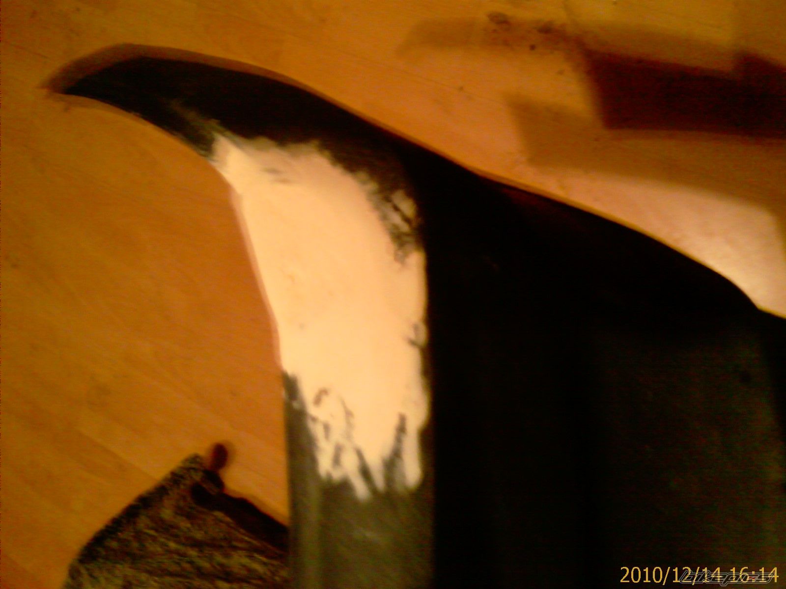 Photo 2119113