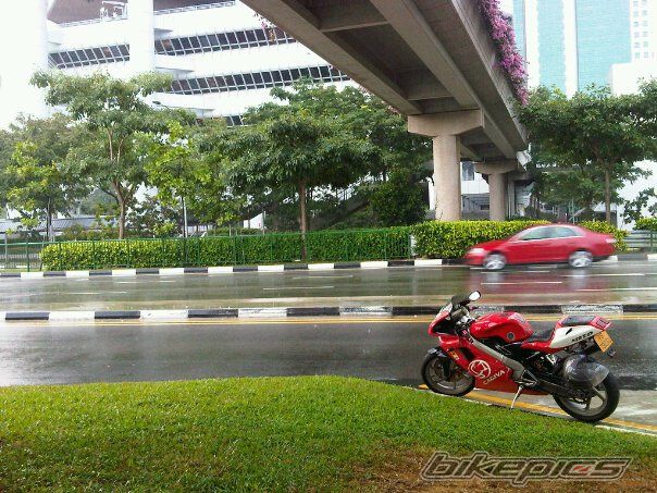 Photo 2119297