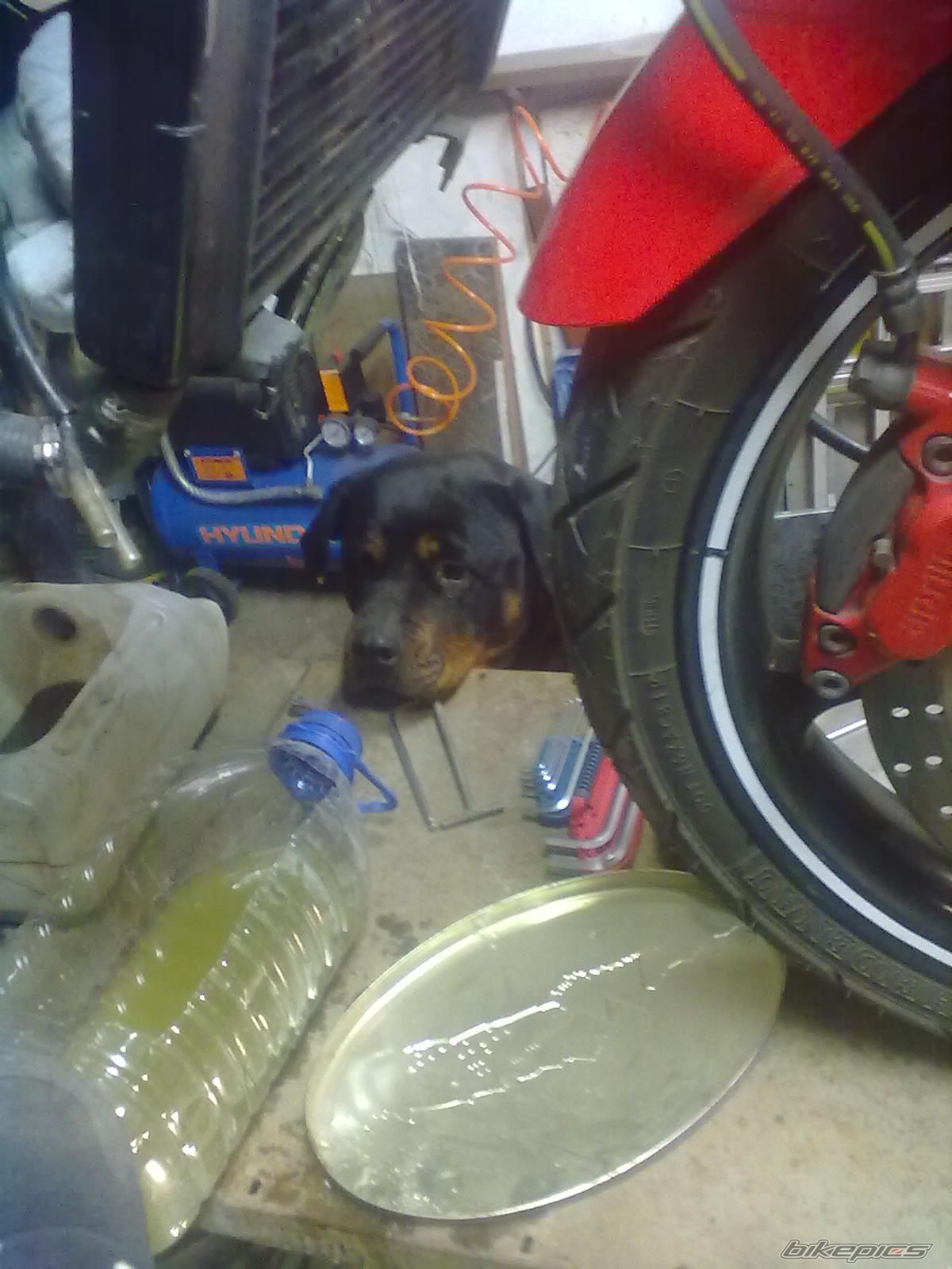 Photo 2119362