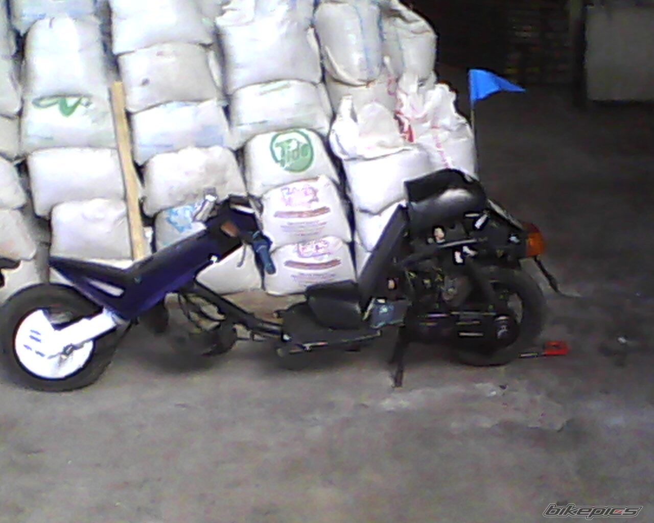 Photo 2119730
