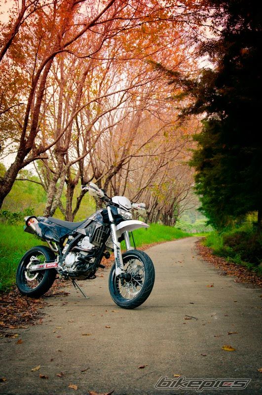 Bike Photo 2119732