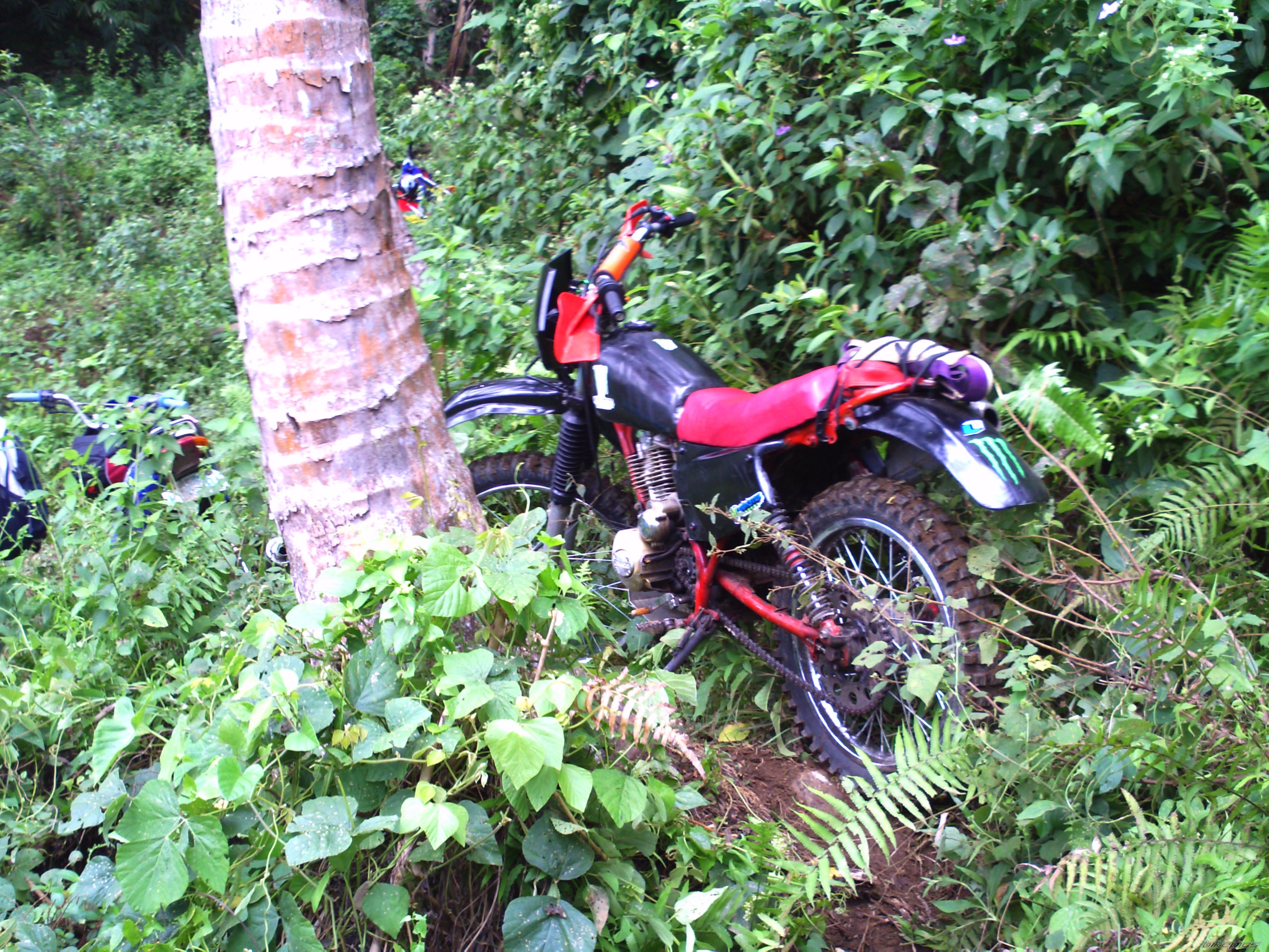 Photo 2119745