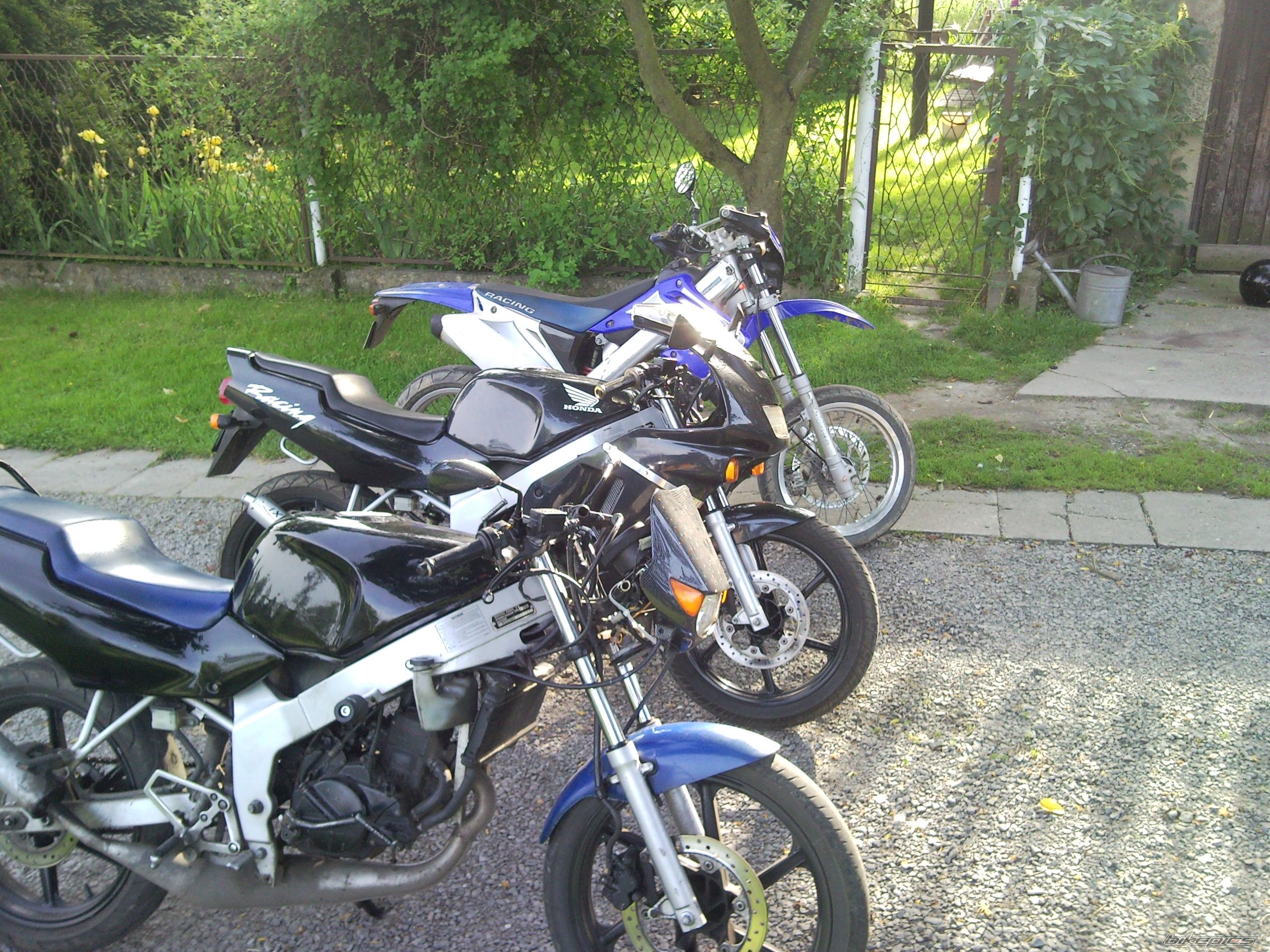 Photo 2119789