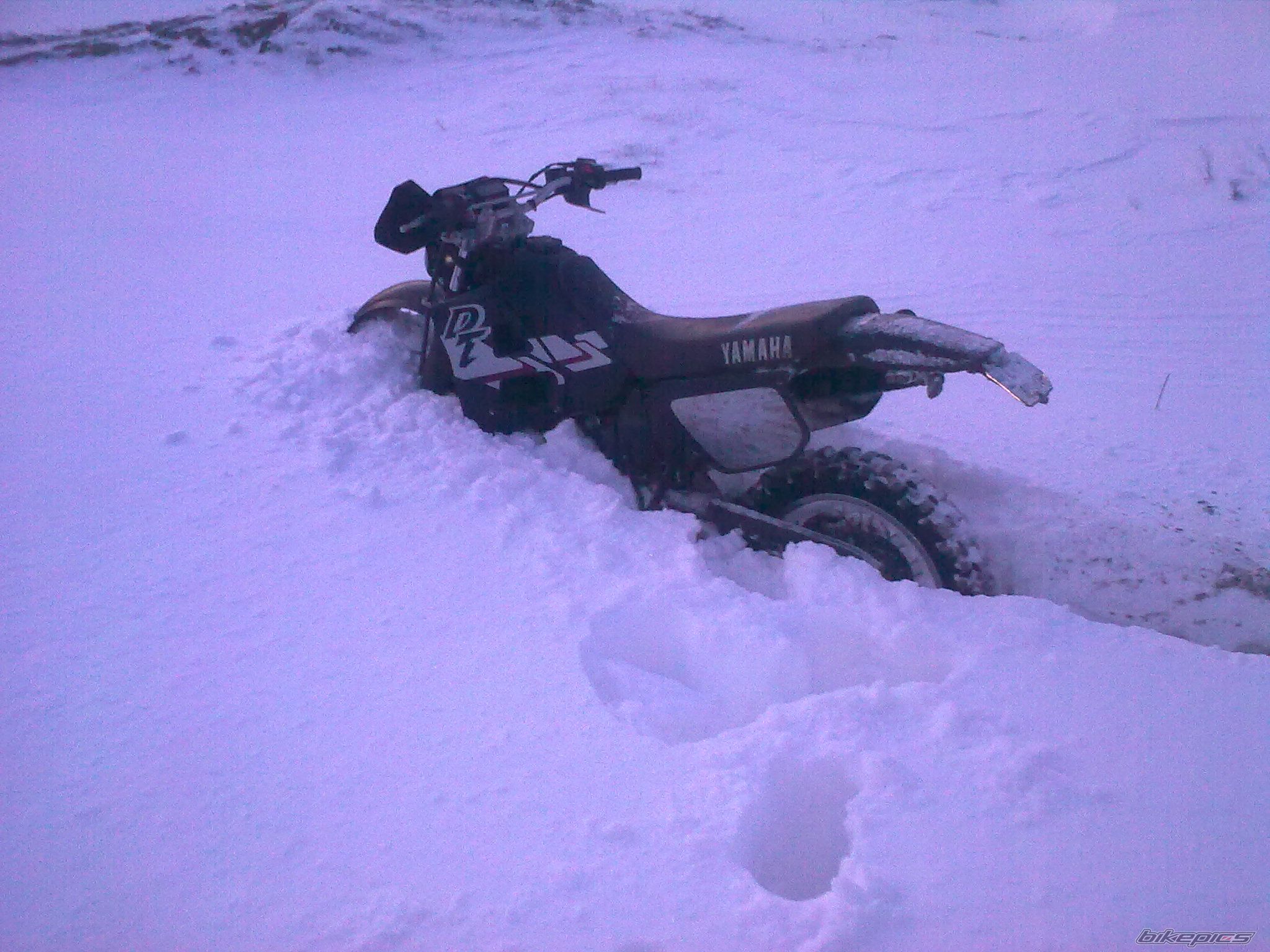 Photo 2120110