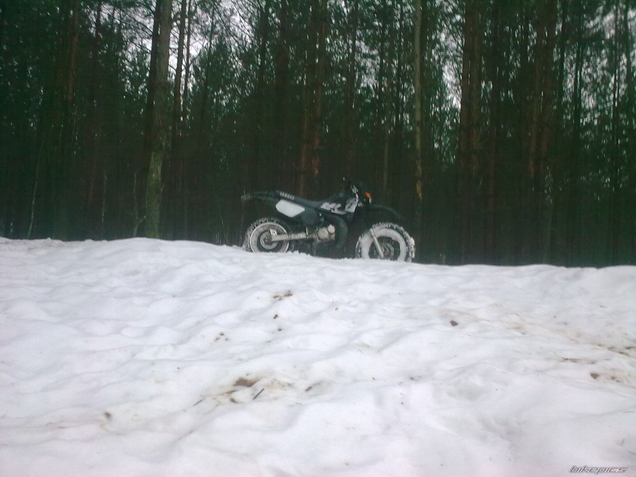 Photo 2120120