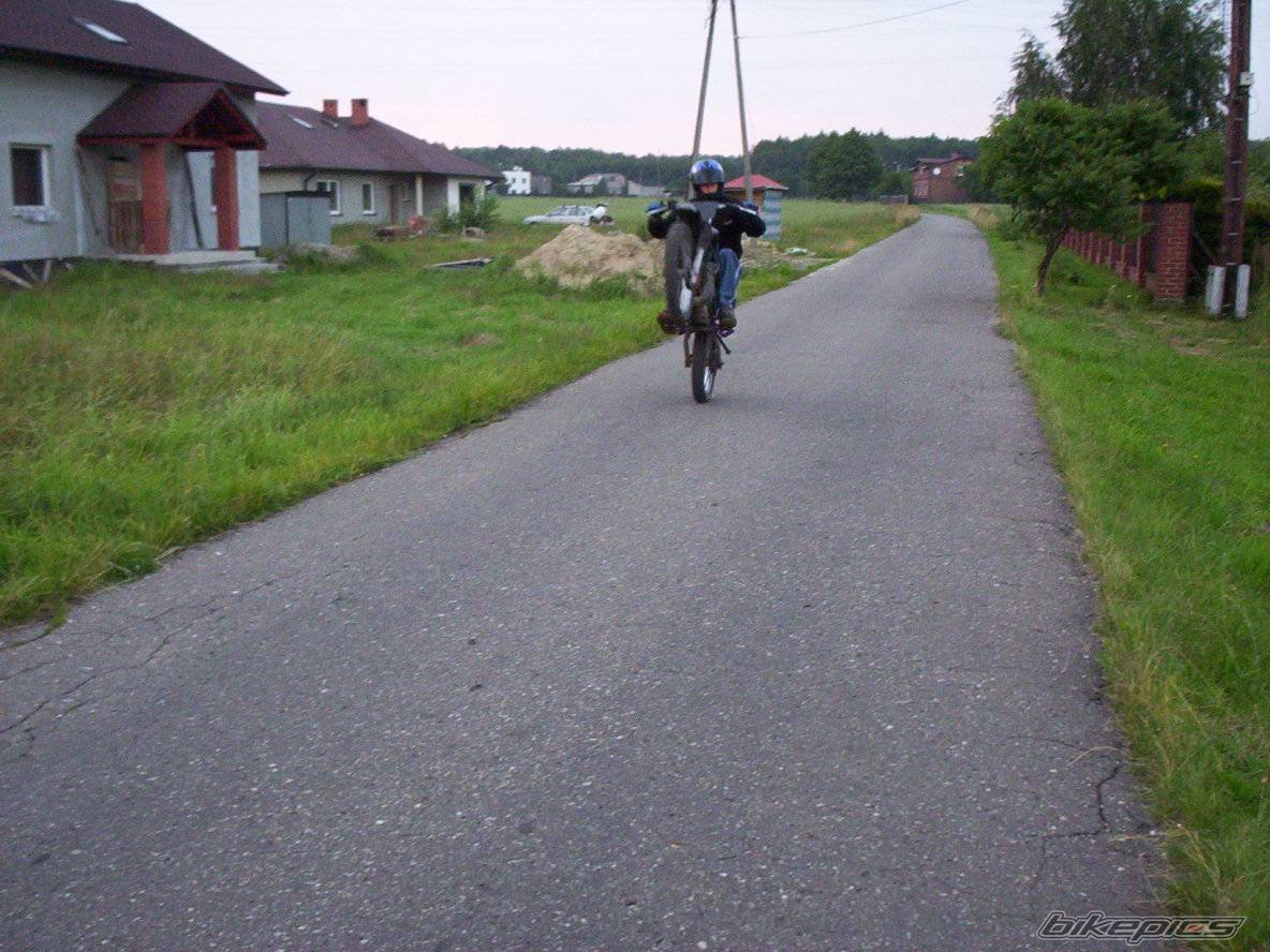 Photo 212022