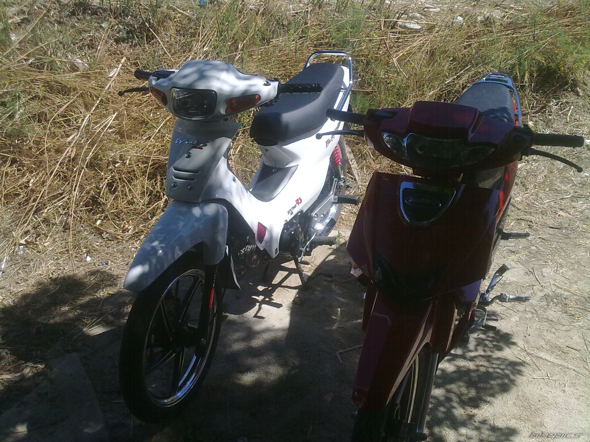 Photo 2120821