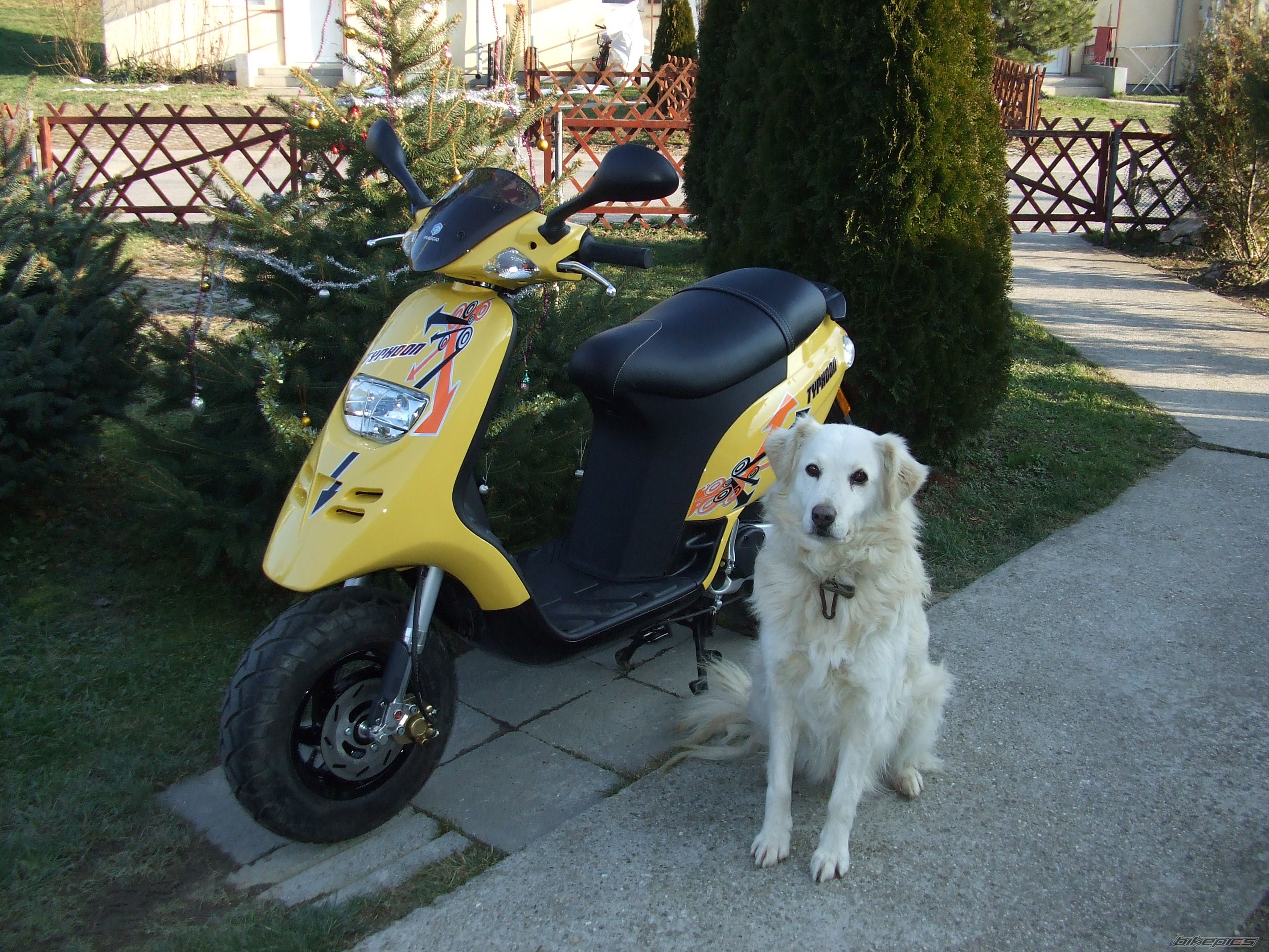 Photo 2120985