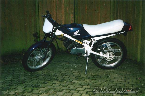 Photo 21210