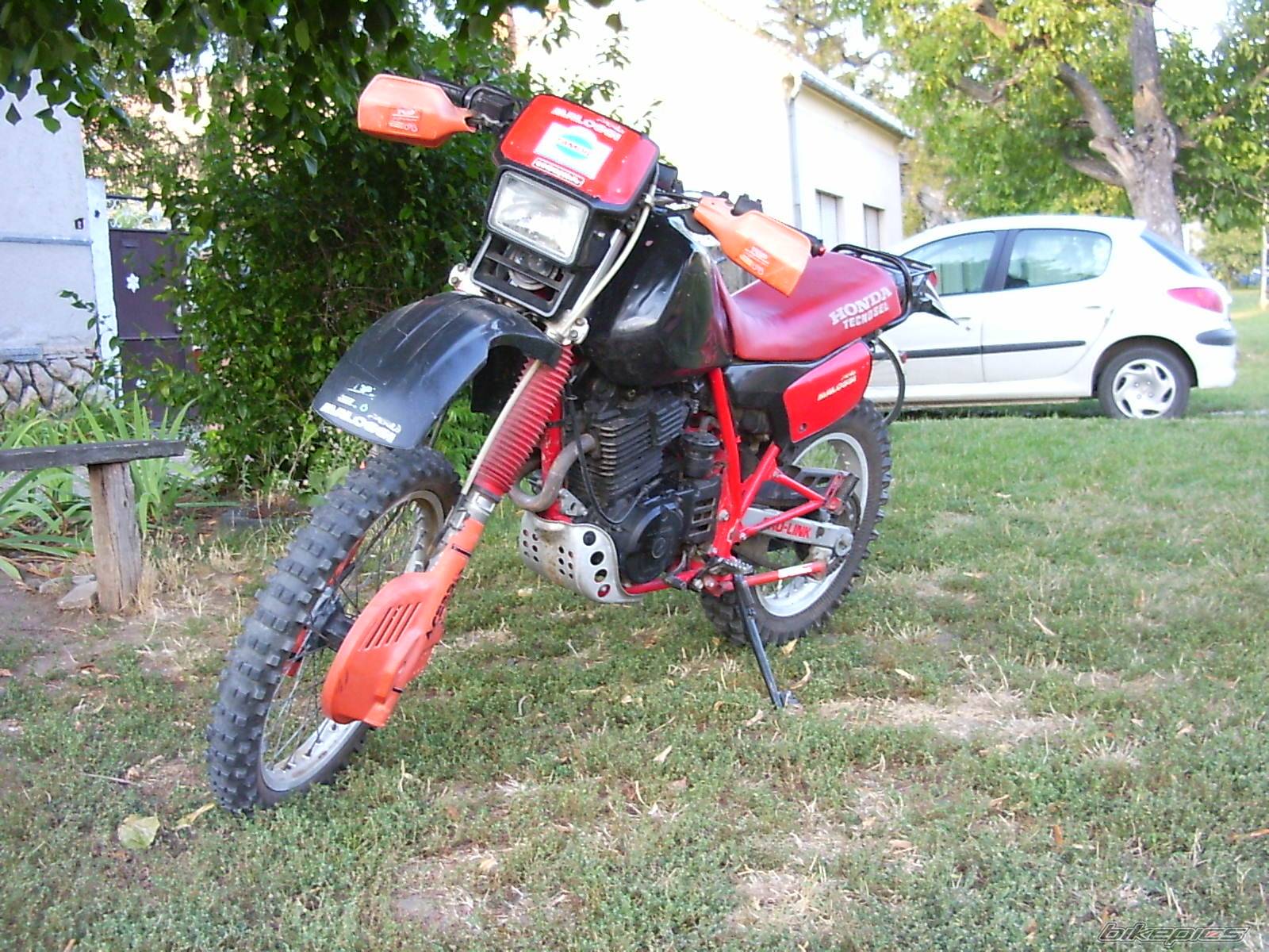 Photo 212110