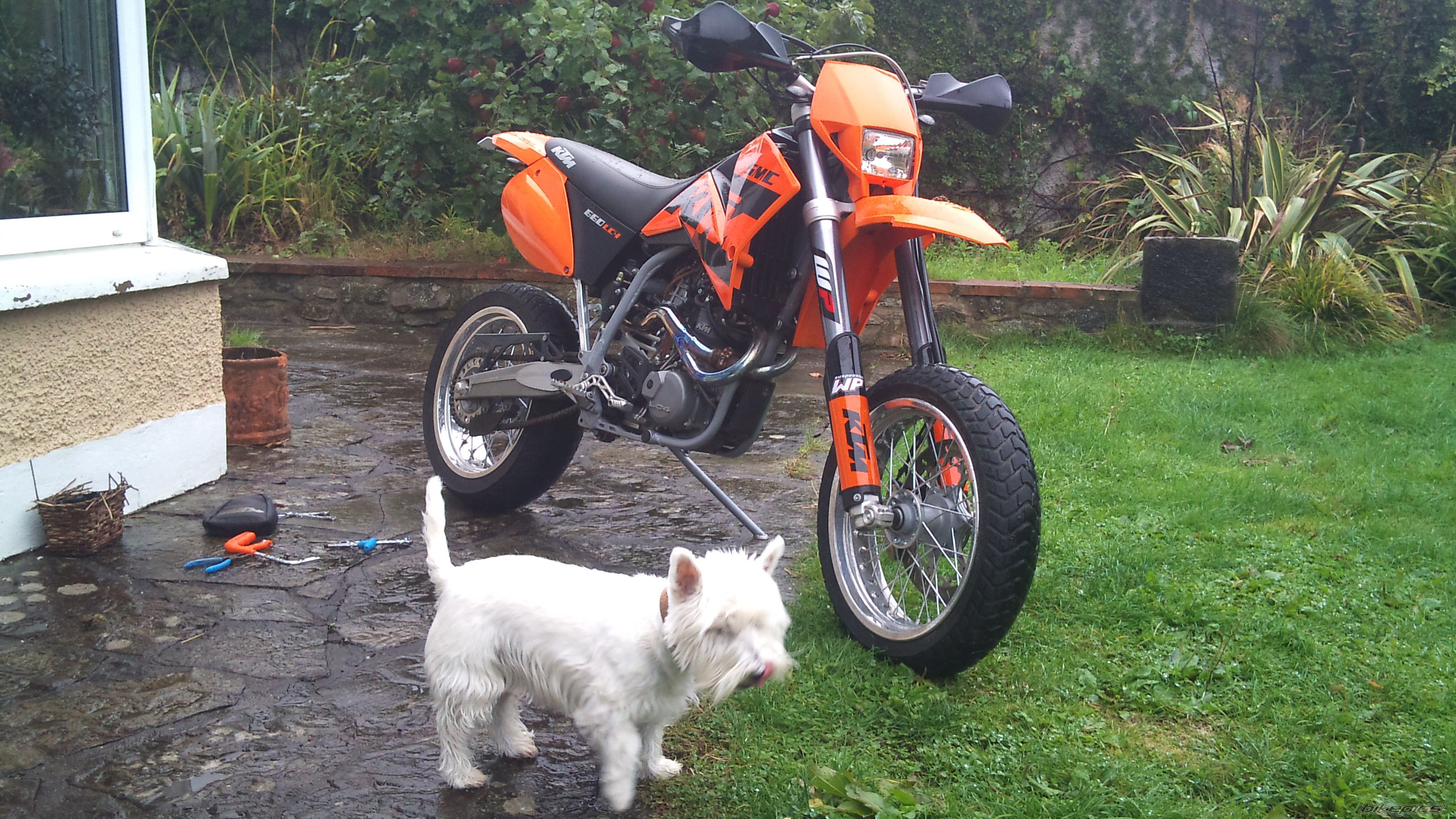 Bike Photo 2121124