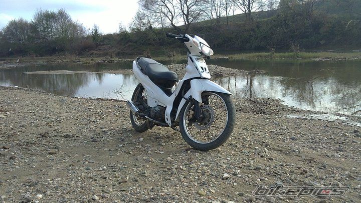 Photo 2121229