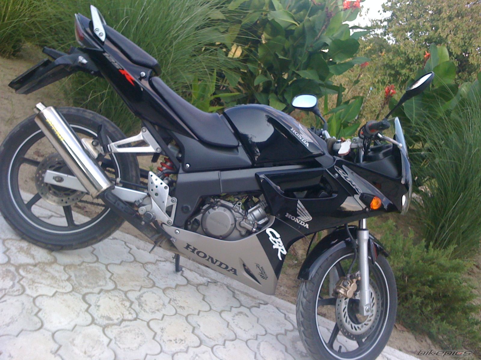 Photo 2121383
