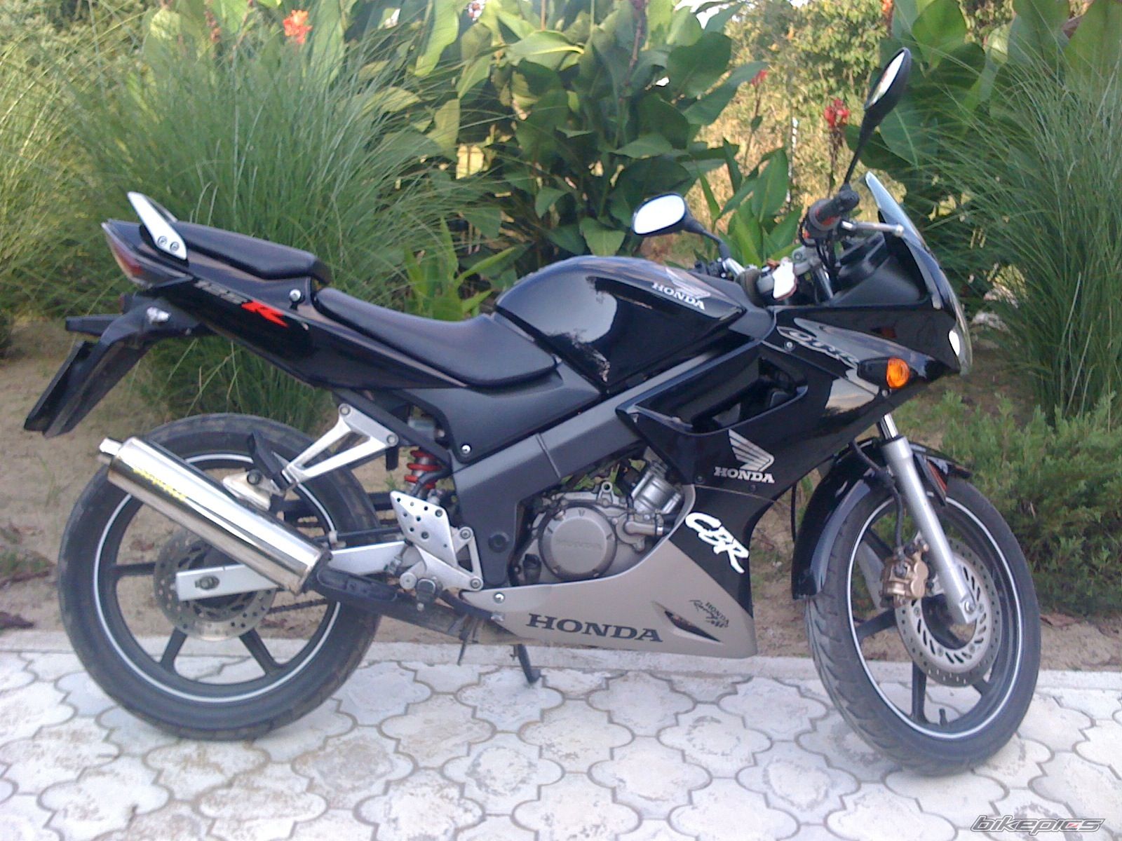 Photo 2121384