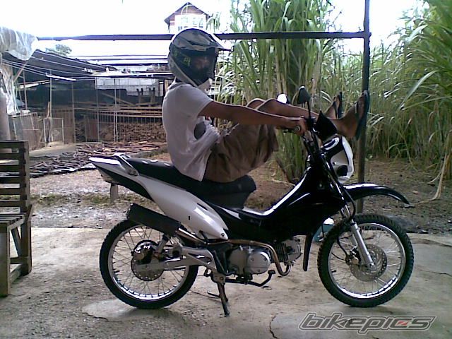 Photo 2121463