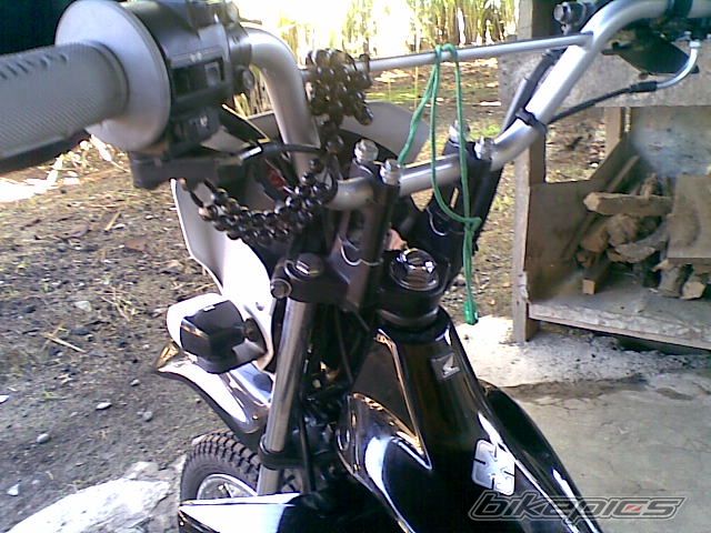 Photo 2121472