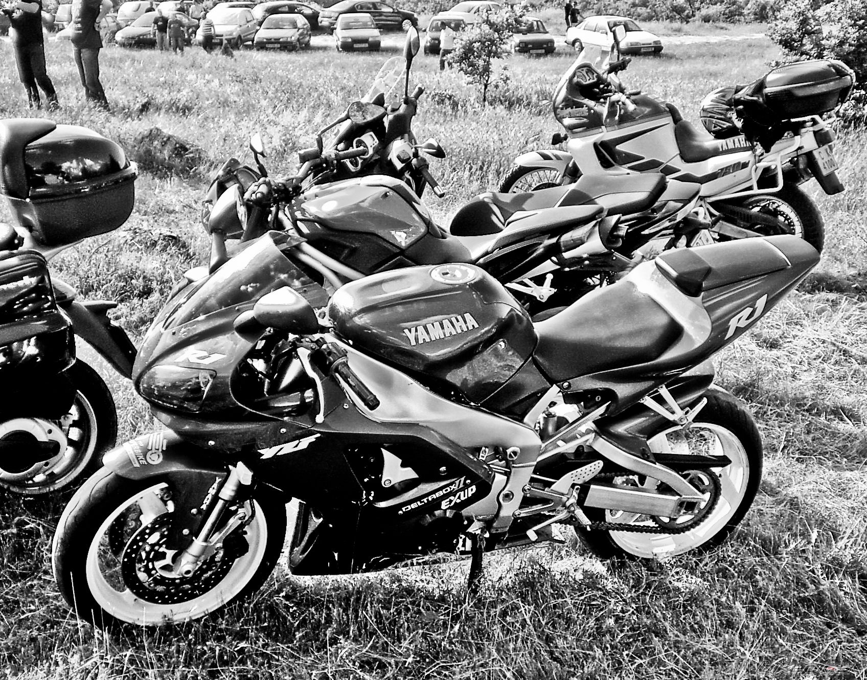 Photo 2122274