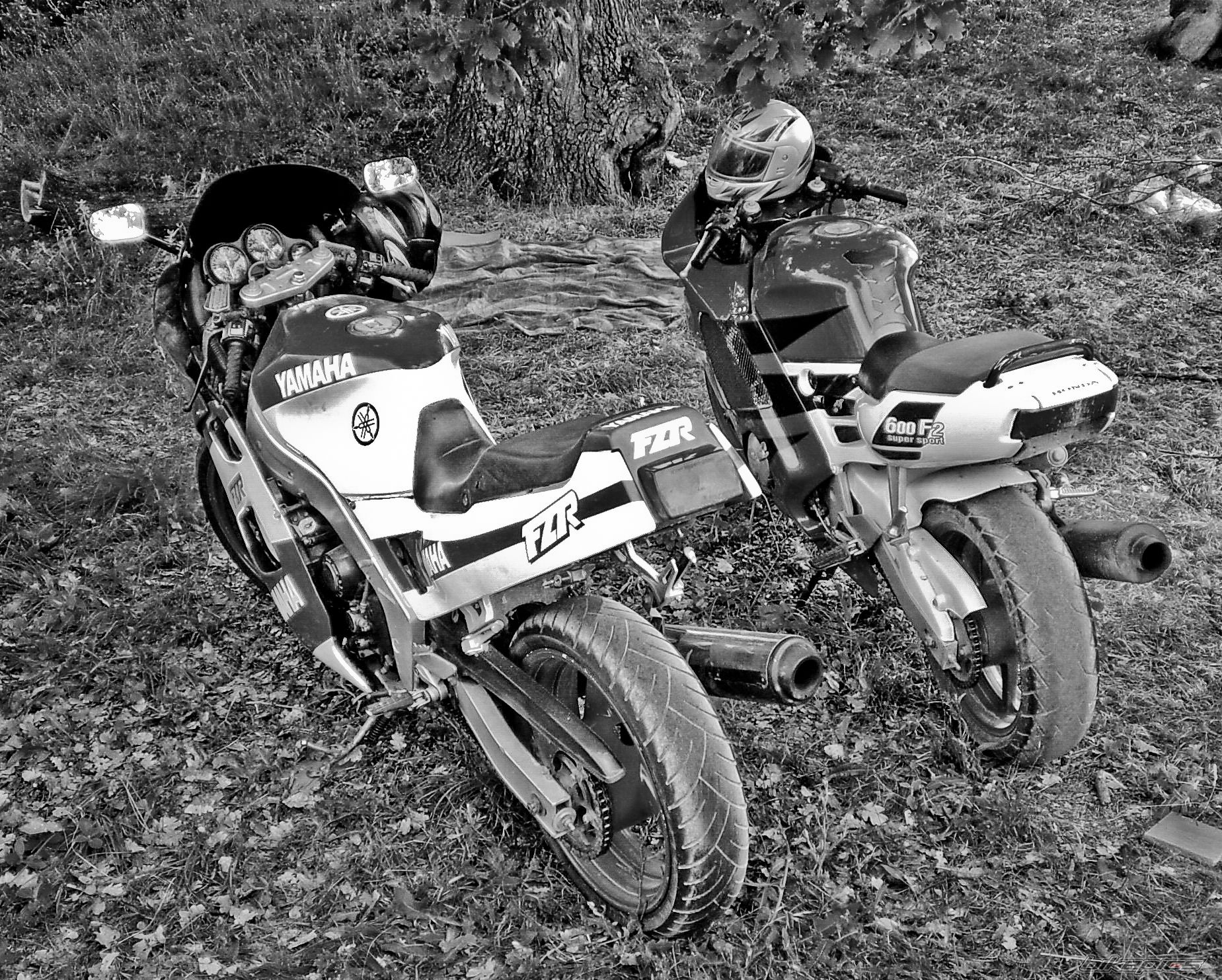 Photo 2122284