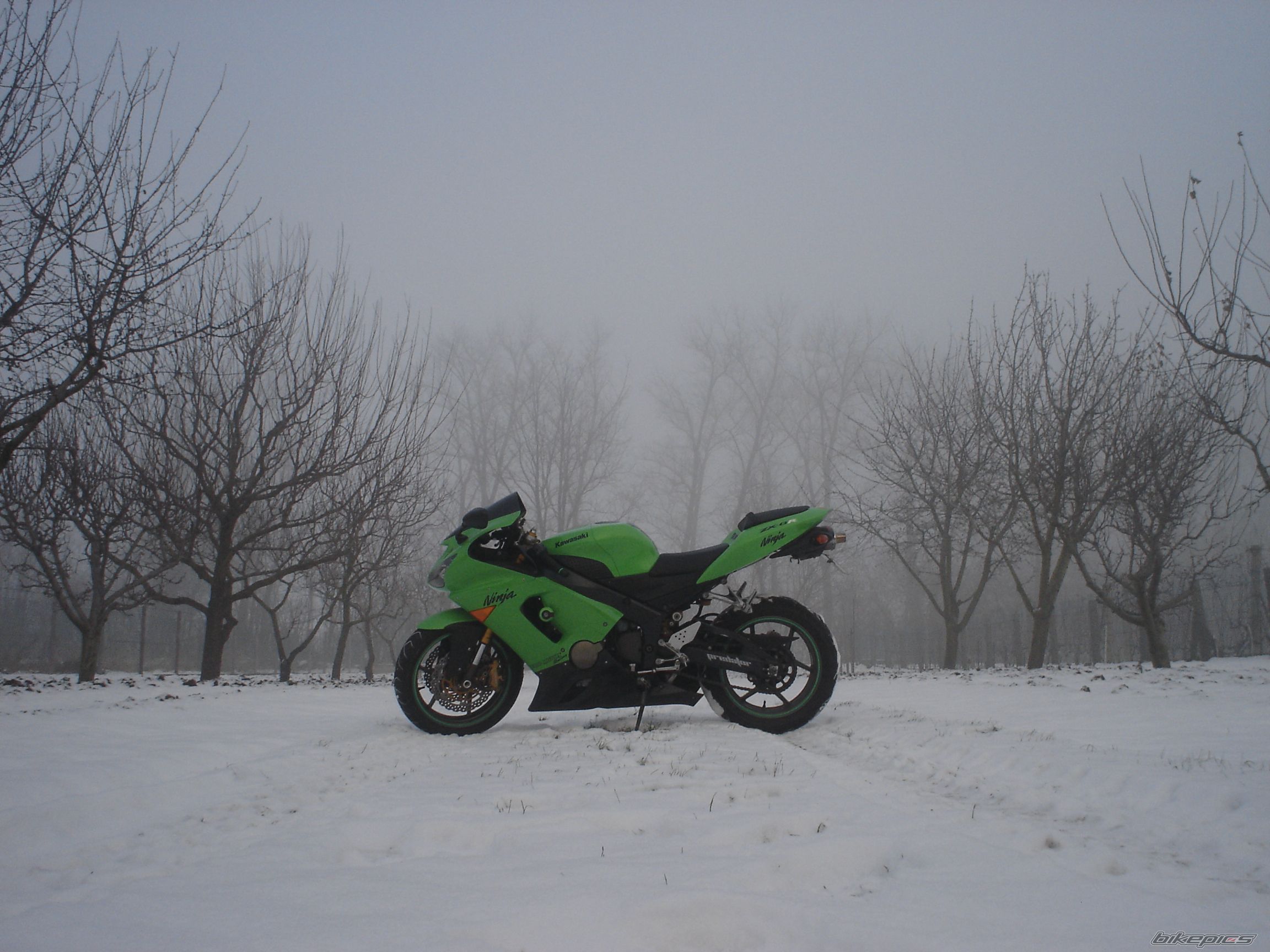 Photo 2122370