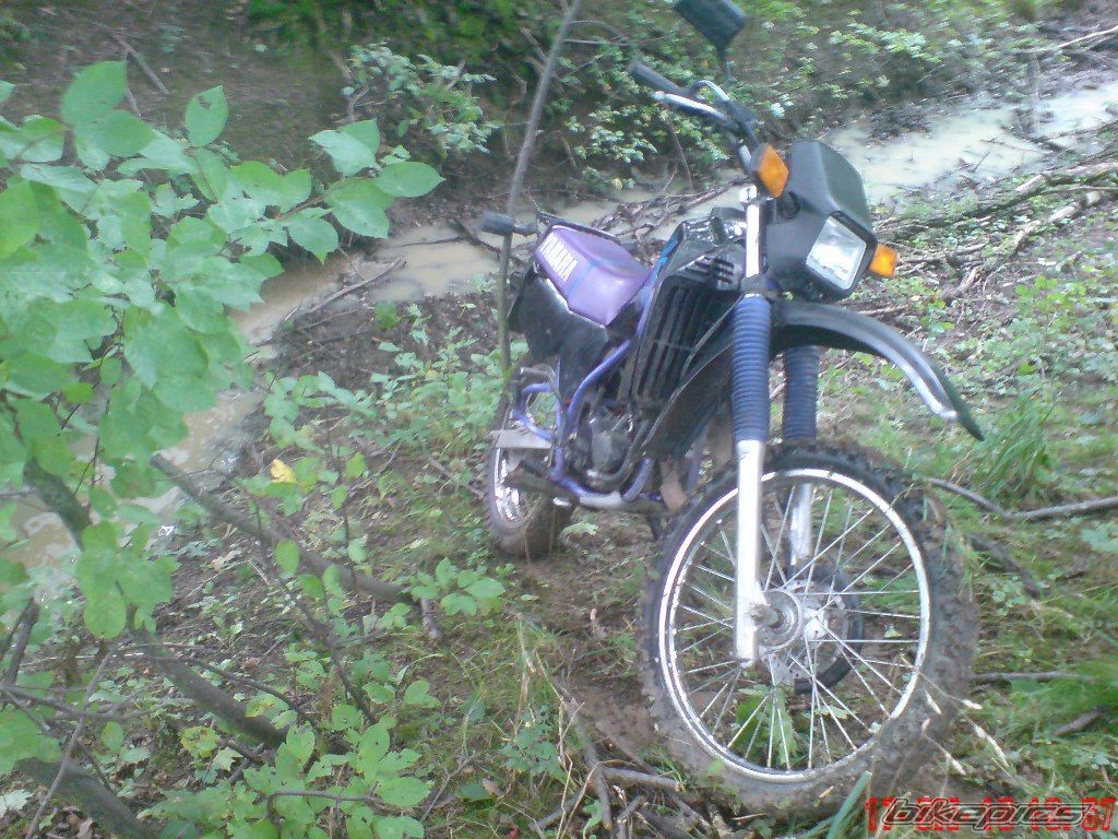 Photo 2122824