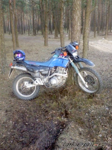 Photo 2122832