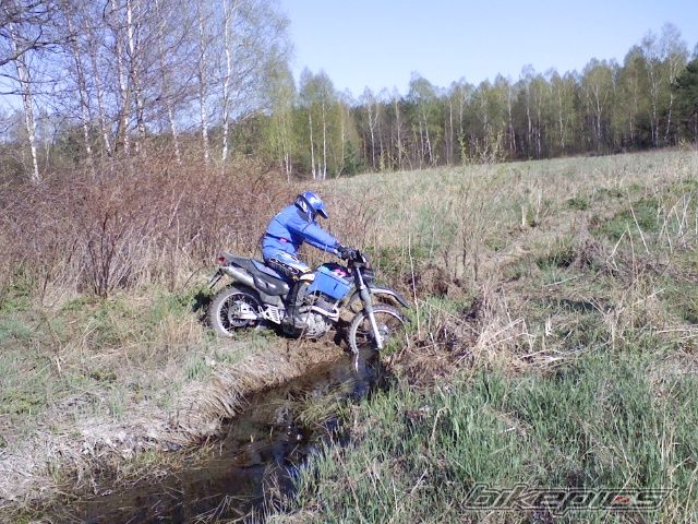 Photo 2122837