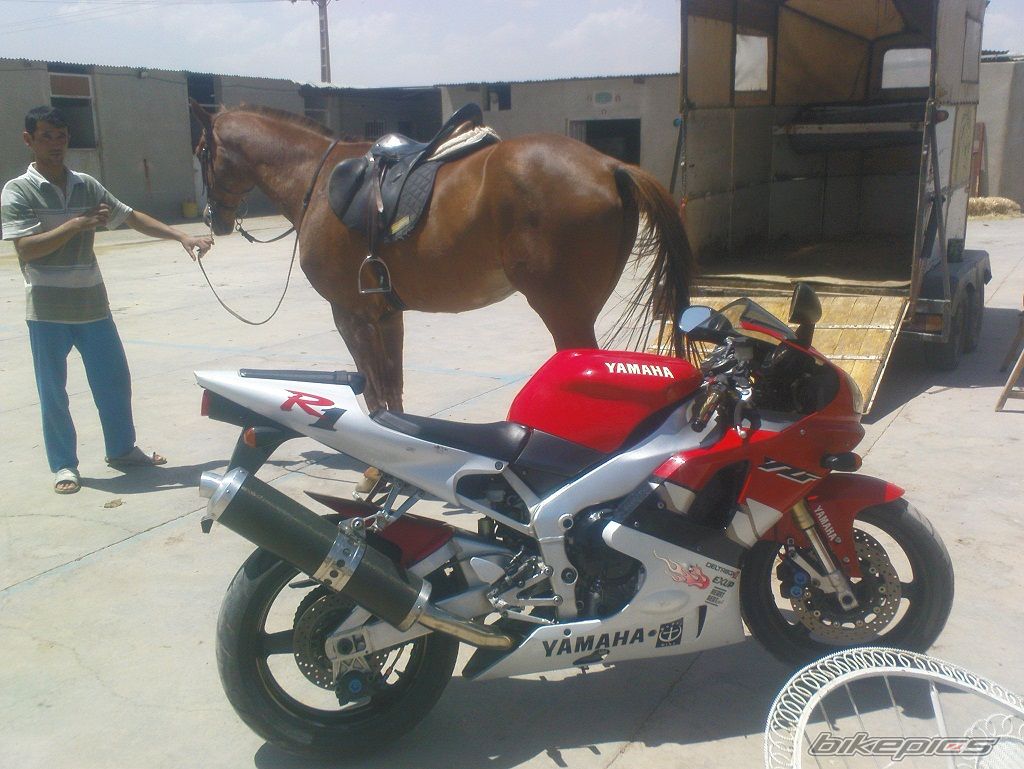 Photo 2122877