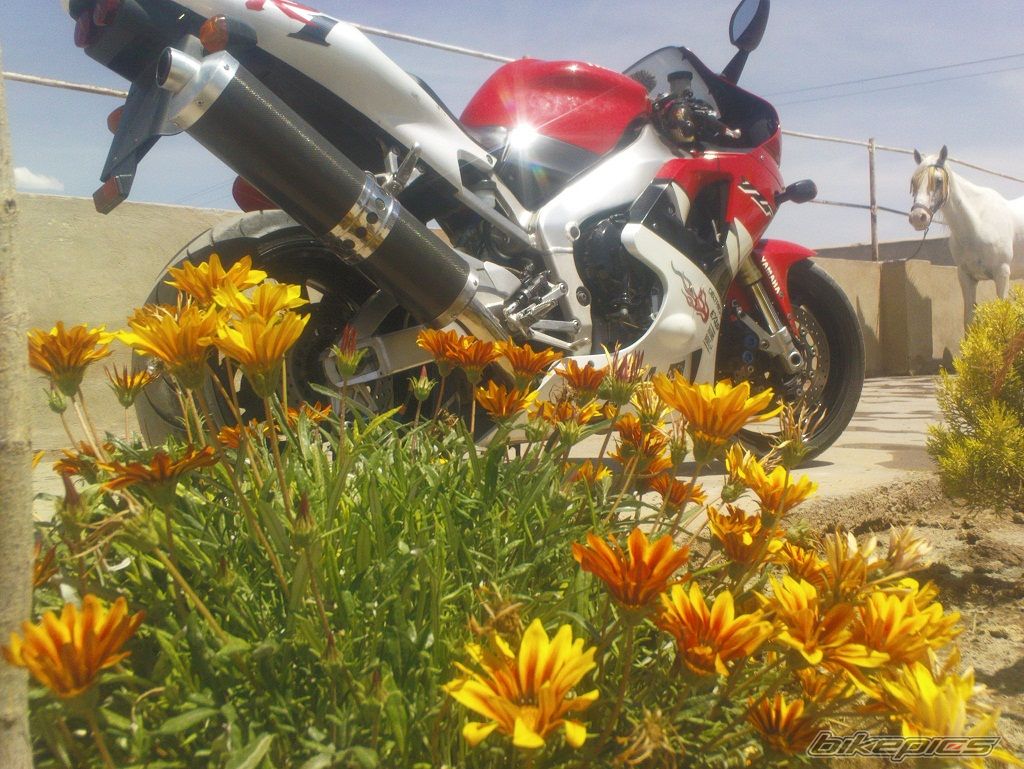 Photo 2122879
