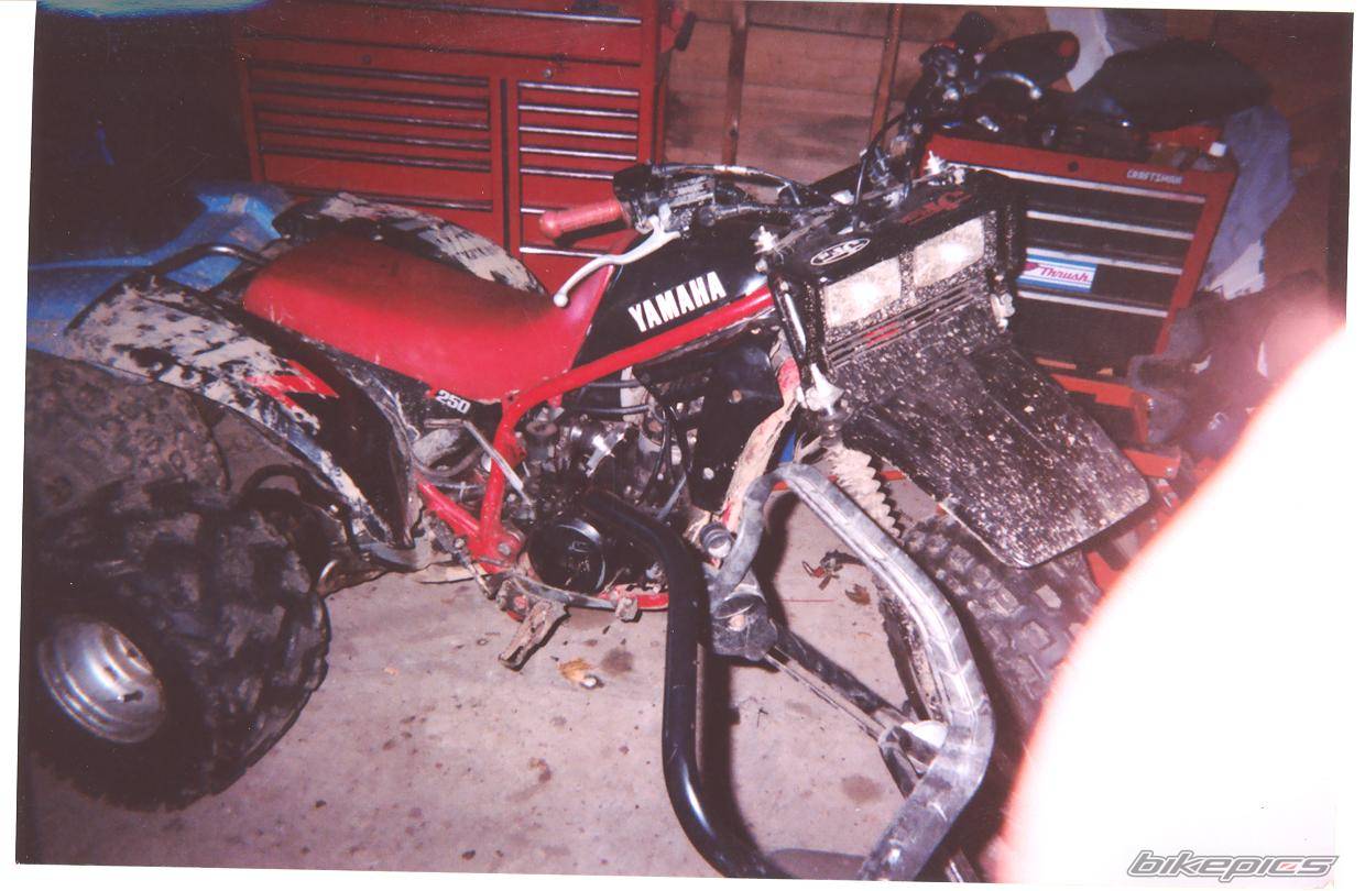 Photo 212294