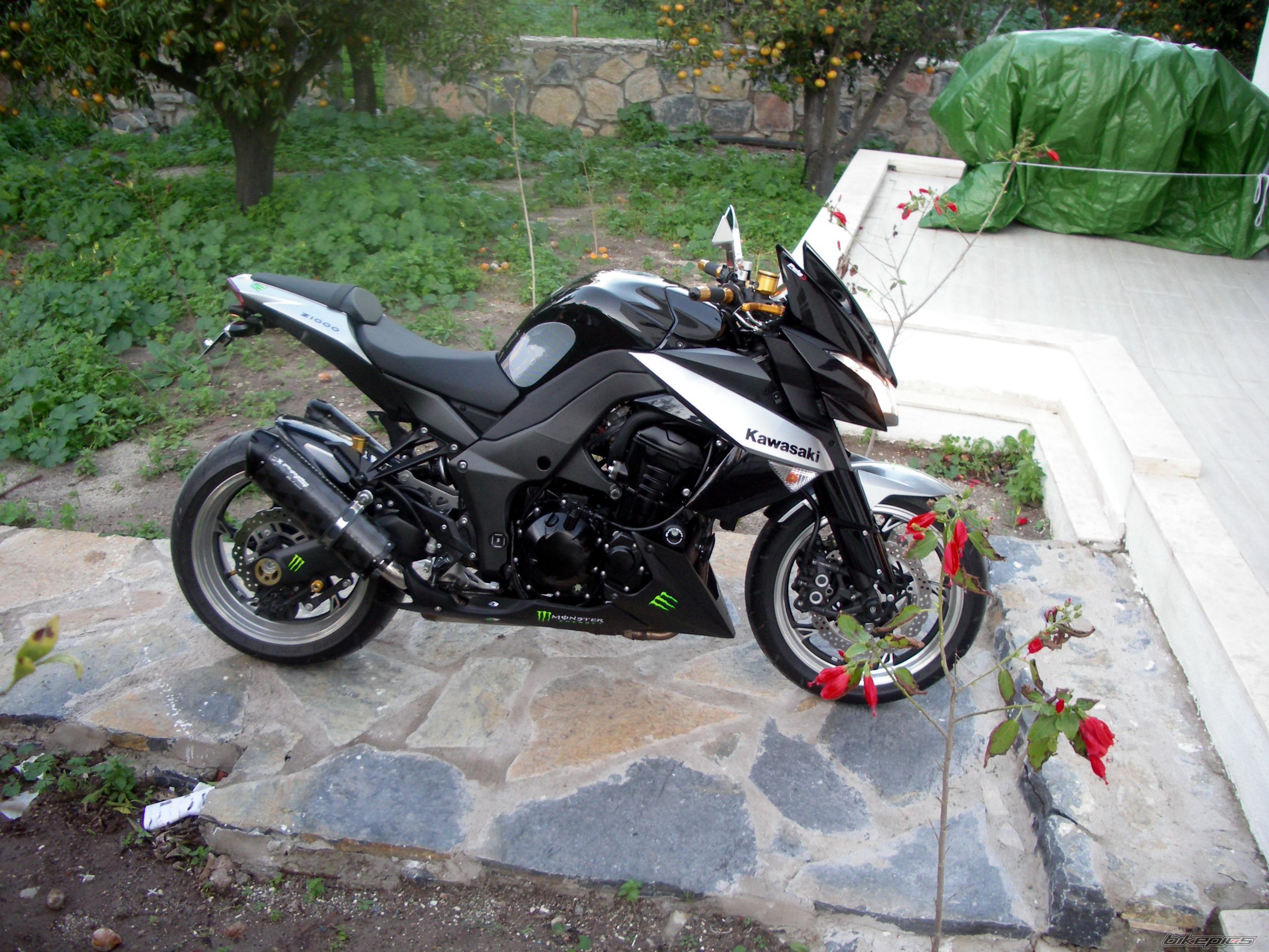 Photo 2123120